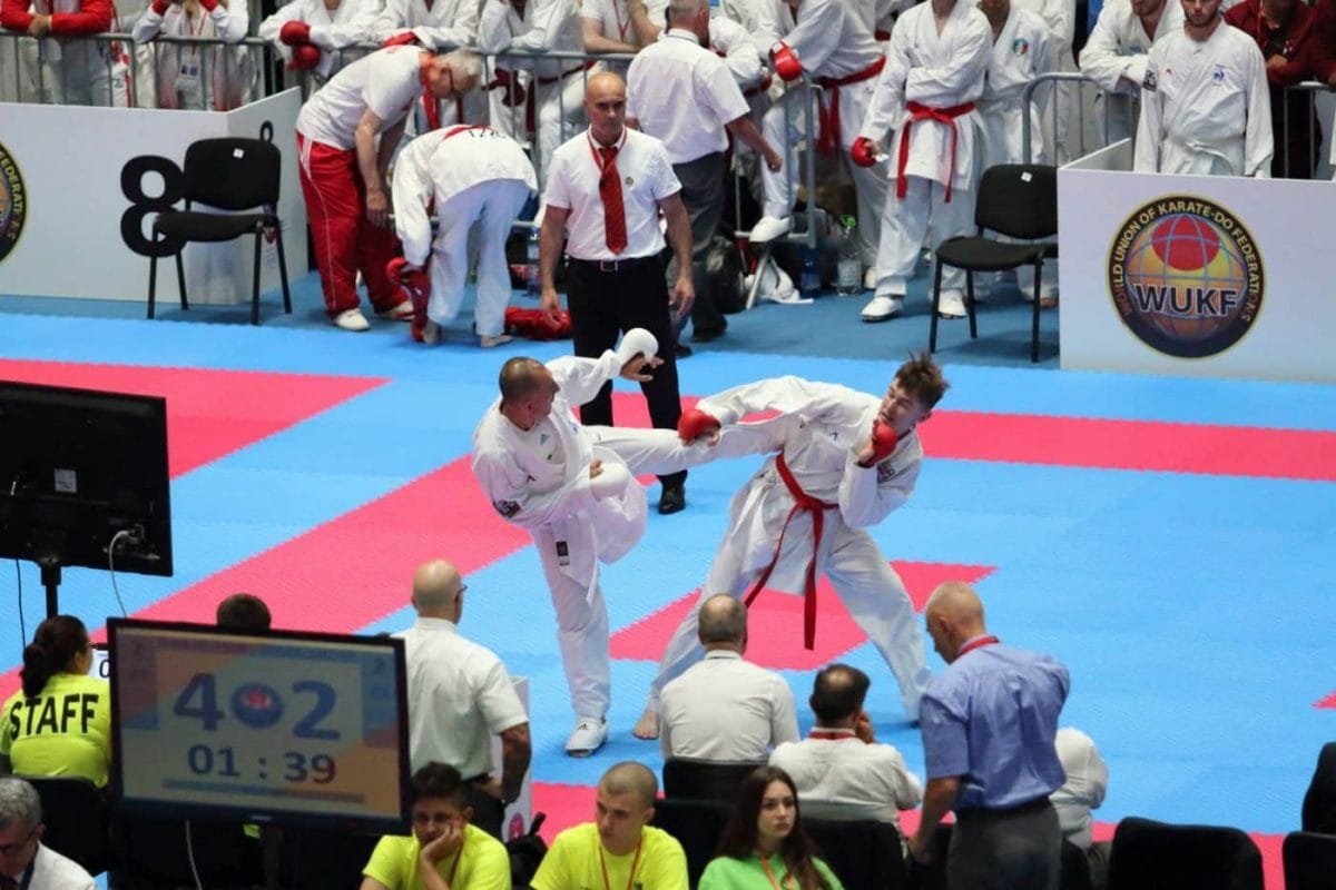 Karate-gi