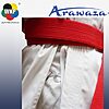 Conjunto Combo Kata karate-gui Deluxe Evo - Premier League - rojo - azul
