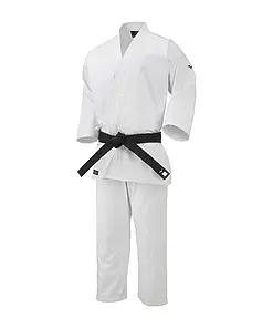 Karate-gui Shodan Mizuno