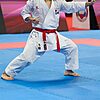 Liga de karate-gui Tokaido Kata Master Sen Première - WKF