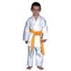 Karate-gui Eco2