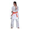 Kaiten karate-gui