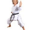 Karate-gui Kaiten Saizen Nami