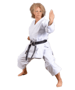 Karate-gui Kaiten Saizen Nami