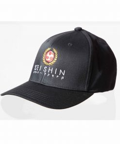 cap-seishin-international-baseballcap
