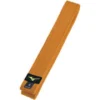 Cinturones de color RB - Mizuno - Imagen 5