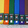 ceinture karate couleurs uni kamikaze aligned scaled