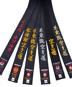 cinturón-negro-kamikaze-satén-o-algodón-abanico-broderies-estilo-etiquetas-karate