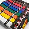 Cinturones de artes marciales todos los colores - Fuji Mae 2 Cinturones de colores para artes marciales