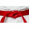 cinturones de competición-seishin-international-wkf-rojo-satinado