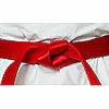 cinturones de competición-seishin-international-wkf-rojo-satinado