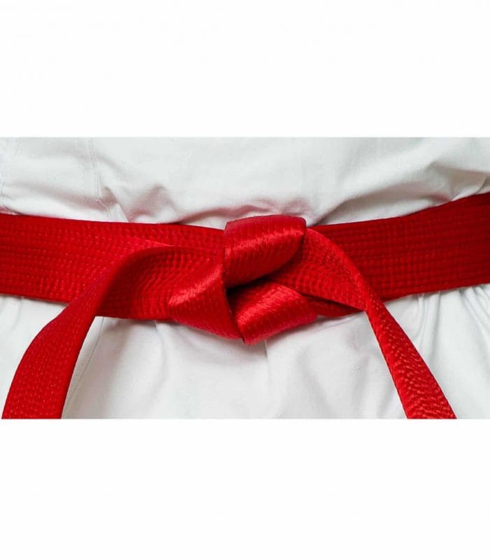 Karate-gi