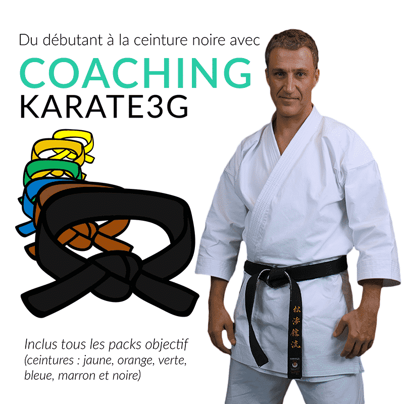 Karate-gi