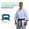 Cursos de karate online cinturón azul PACK OBJETIVOS Karate3G™ 5 coaching-karate3g-blue-belt-karate-training-in-video