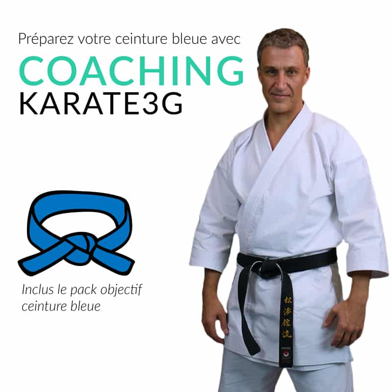 Cursos de karate online cinturón azul PACK OBJETIVOS Karate3G™ 4 coaching-karate3g-blue-belt-karate-training-in-video