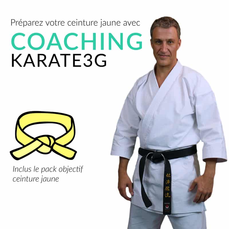 Cursos de Karate Online Cinturón Amarillo PACK OBJETIVO Karate3G™ 4 coaching-karate3g-cinturón-amarillo-karate-entrenamiento-video