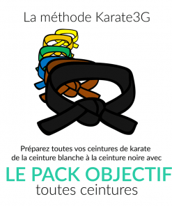 Clases de kárate en línea de Cinturón Blanco a Cinturón Negro PACK OBJETIVO Karate3G vídeo