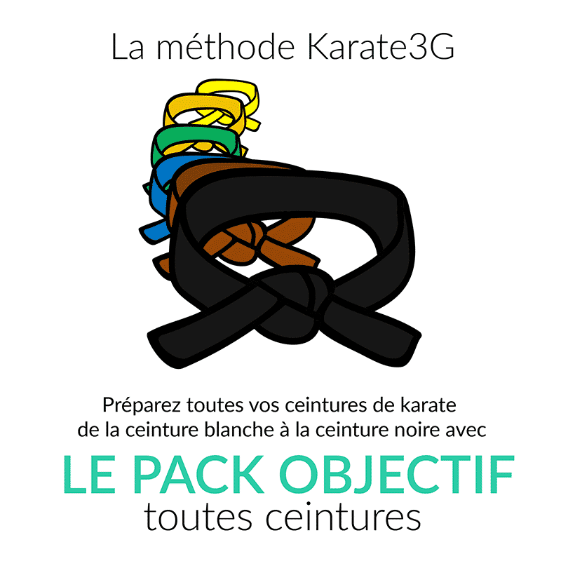 Clases de kárate en línea de Cinturón Blanco a Cinturón Negro PACK OBJETIVO Karate3G vídeo