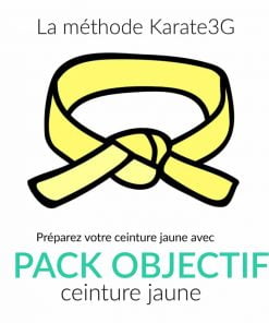 Lecciones de Karate en línea Cinturón Amarillo OBJETIVO PACK Karate3G™ video