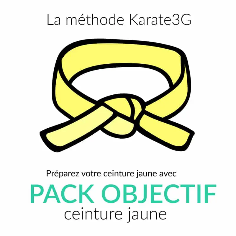 Cursos de Karate Online Cinturón Amarillo PACK OBJETIVO Karate3G™ 3 Clases de kárate en línea Cinturón amarillo PACK OBJETIVO Karate3G vídeo
