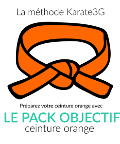 Clases de kárate en línea Cinturón naranja PACK OBJETIVO Karate3G vídeo