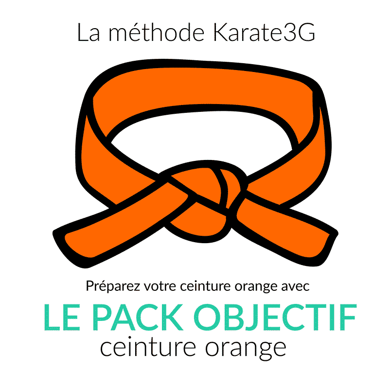 Lecciones de karate online PACK Cinturón Naranja OBJETIVO Karate3G™ 3 Clases de kárate en línea Cinturón naranja PACK OBJETIVO Karate3G vídeo