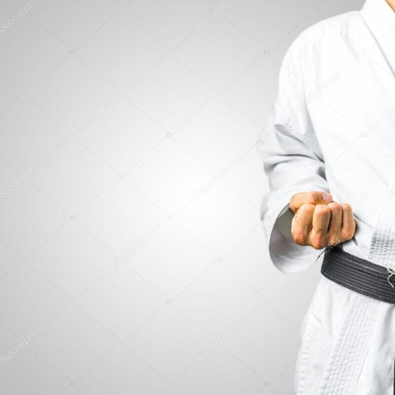 Karate-gi