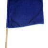 árbitro-bandera-azul
