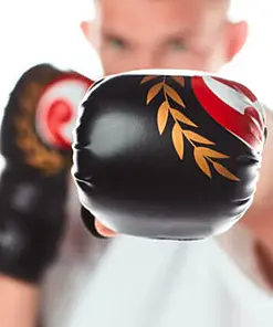 guantes de combate-seishin