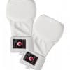 Guantes de kárate - TOKAIDO JKA - blanco