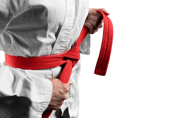 Karate-gi