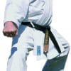 Karate-Gi