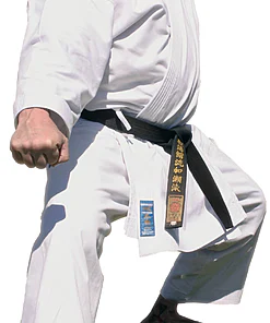 Karate-Gi