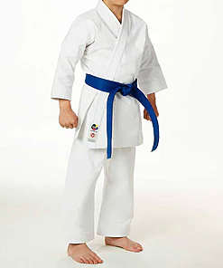 Karate-Gi