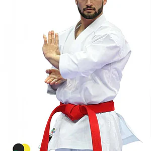 karate-gui