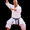 karate-gui
