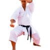 karate-gui