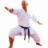 karate-gui