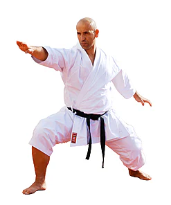 karate-gui
