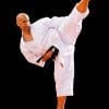 karate-gui