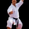 karate-gui