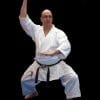 karate-gui