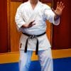 karate-gui