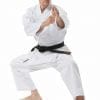 karate-gui Tokaido BUJIN SHIRO Jutsu - 14 oz kokustu-dachi-atbs