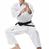 karate-gui Tokaido BUJIN SHIRO Jutsu - 14 oz kokustu-dachi-atbs