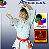 Kimono Arawaza AMBER Evolution para Kata - Aprobado por la WKF - EDICION ORO - Talla 175