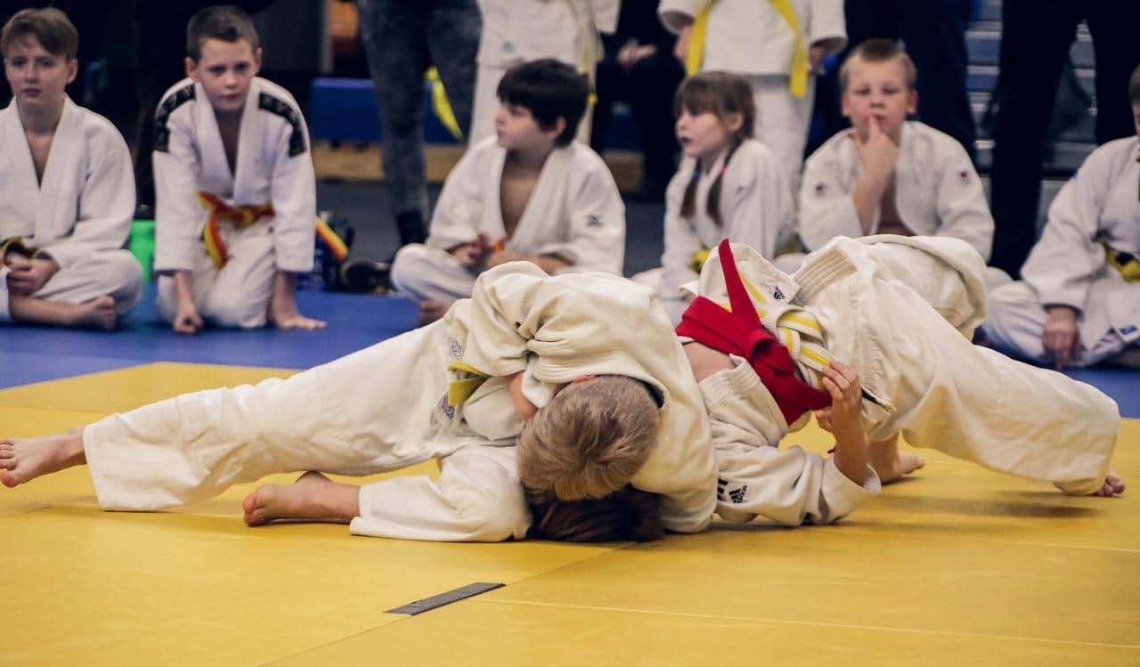 Karate-gi