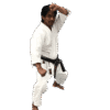 karate-gui