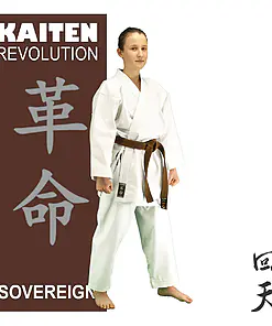 karate-gui