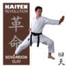 karate-gui